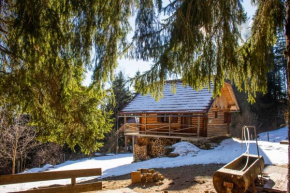 Cottage Planina Forest, 1070m altitude, Ljubno